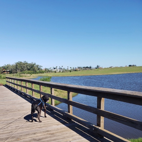 Meet your Posher, Liza - Picture 1 of 1